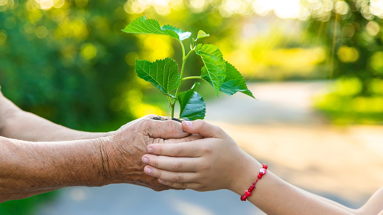 Фото: Depositphotos.com