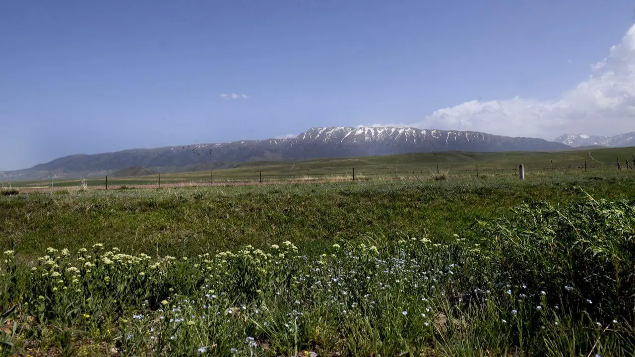 Фото: Алматы облысы Райымбек ауданы әкімдігі