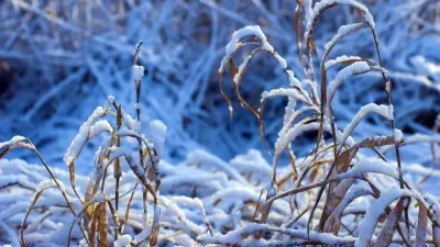 Прогноз погоды на 11 декабря: сильный мороз идёт на восток Казахстана