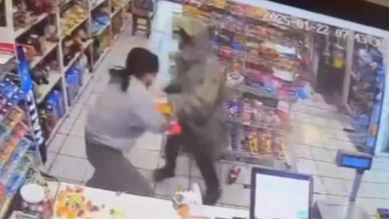 Скриншот с видео