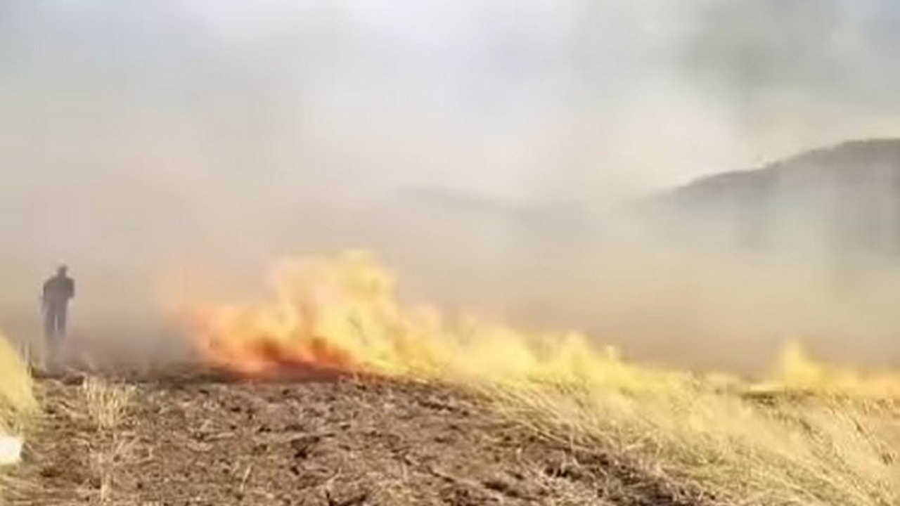 Кадр из видео