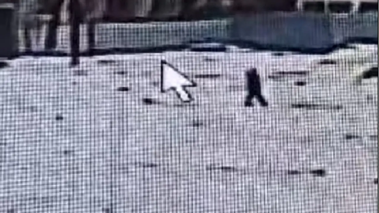 Кадр из видео Polisia.kz