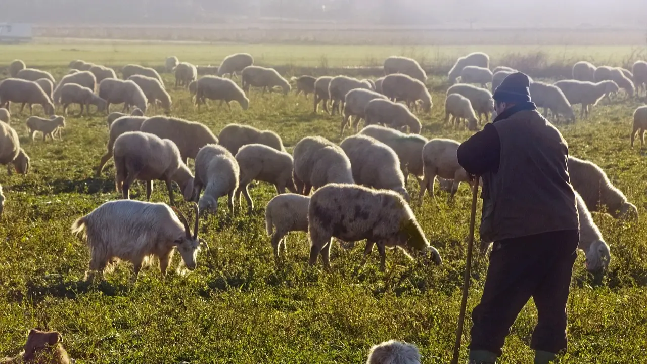 Фото Pixabay.com