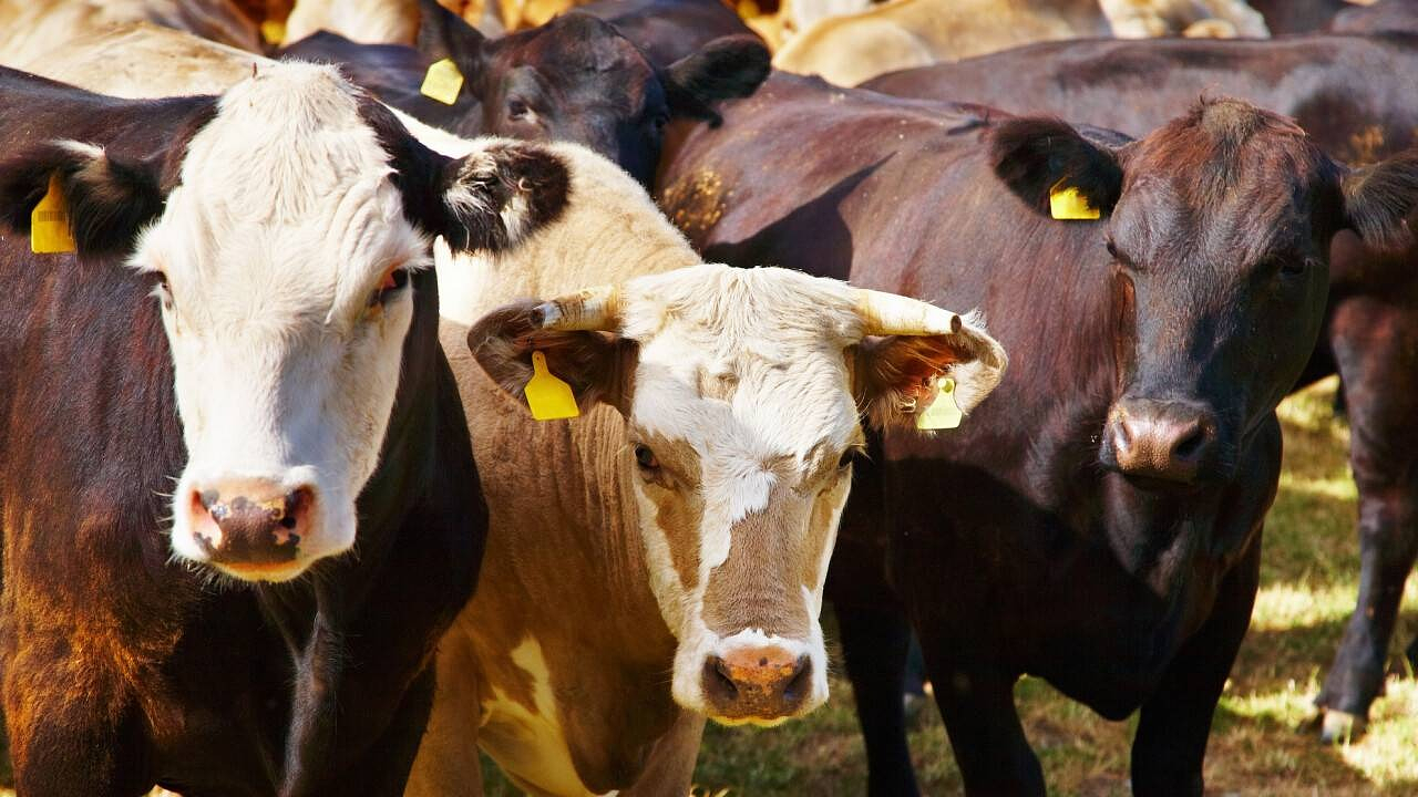 Фото Depositphotos.com