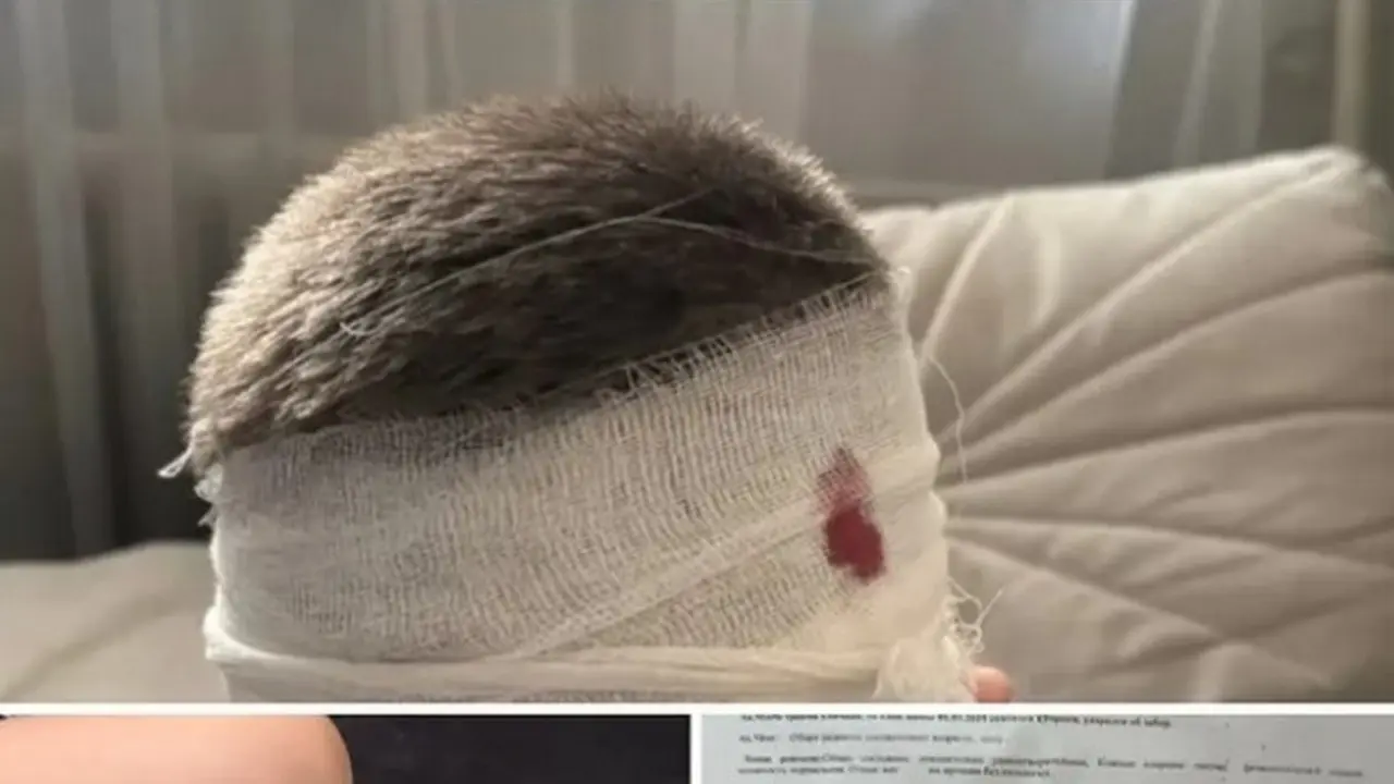 Скриншот со страницы rupr.pvlshakeneva