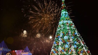 Церемонию зажжения главной ёлки Астаны перенесли