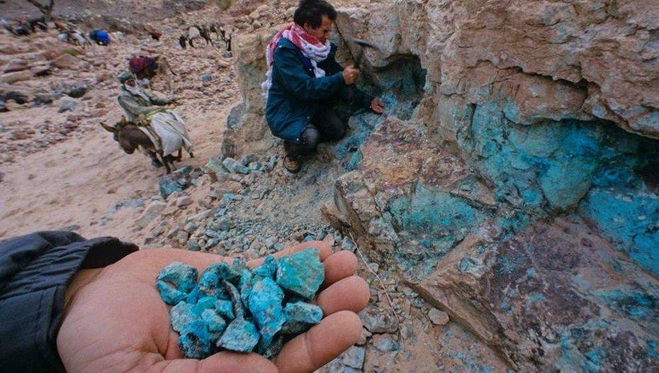  Фото nationalgeographic.com сайтынан алынды