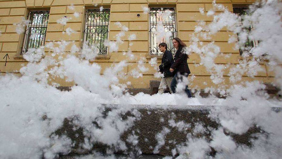 Фото kommersant.ru сайтынан алынды