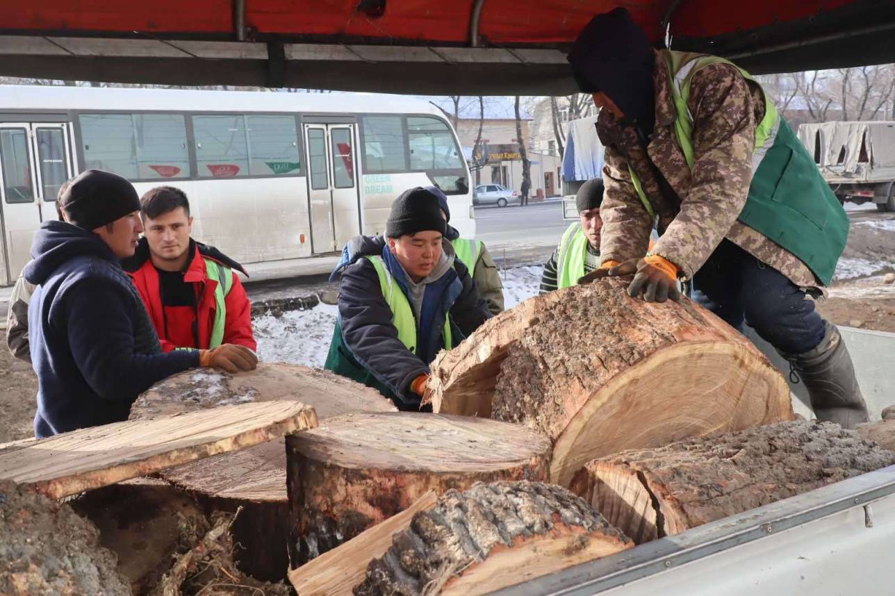 Всё, что осталось от деревьев, загрузили в машины и вывезли